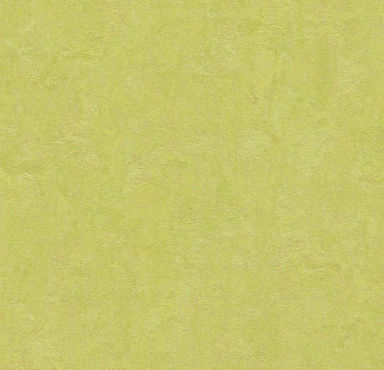 333885 Marmoleum Click 333885