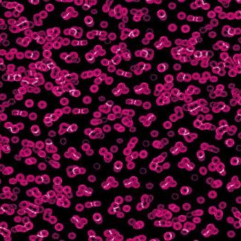 Flotex Sottsass Bacteria 990101