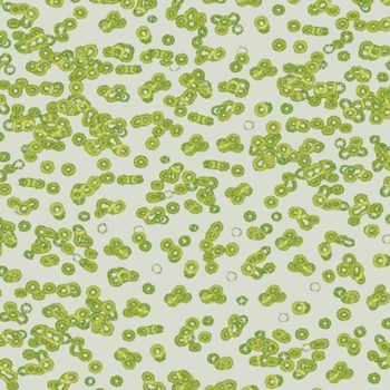 Flotex Sottsass Bacteria 990203