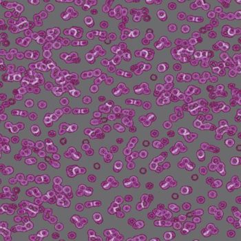 Flotex Sottsass Bacteria 990301