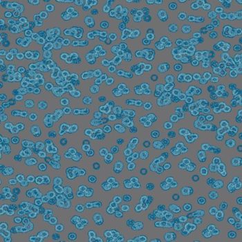 Flotex Sottsass Bacteria 990303