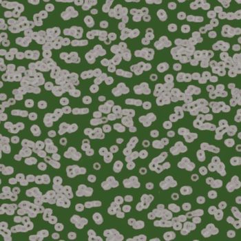 Flotex Sottsass Bacteria 990403