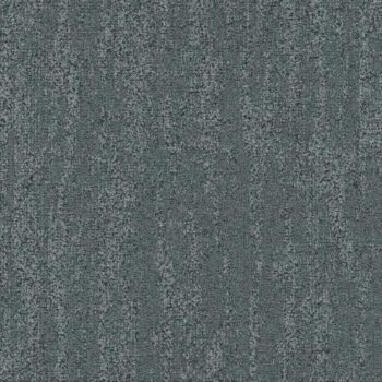 Willow 586
