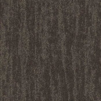 Willow 810