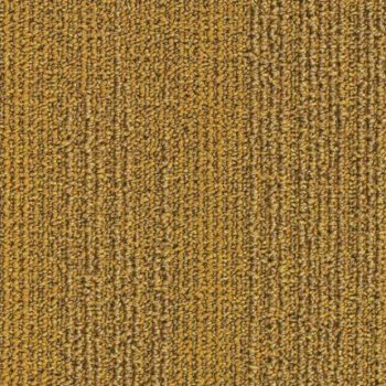 Grids 6102