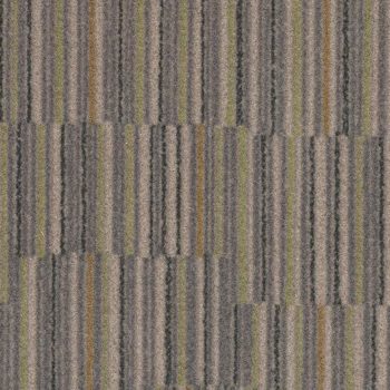 Linear s242001