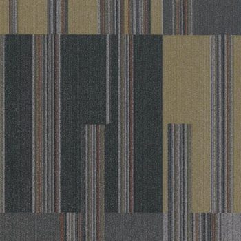 Linear s270006