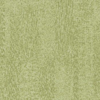 Colour t382006