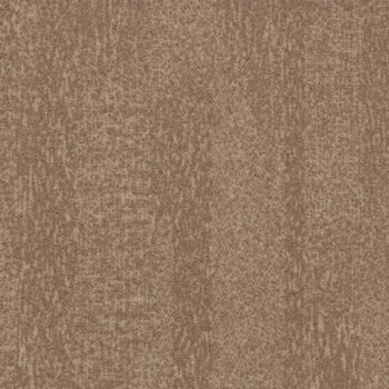 Colour t382018
