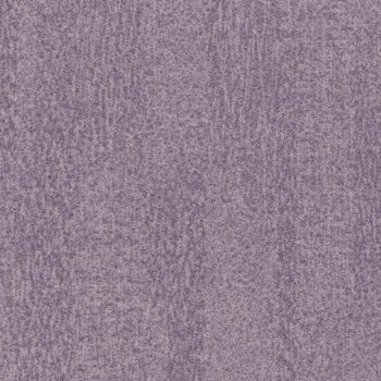 Colour t382027