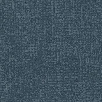 Colour t546002