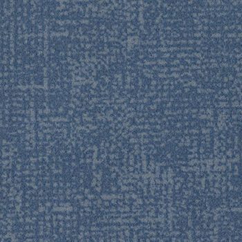Colour t546004