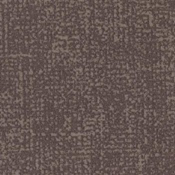 Colour t546009