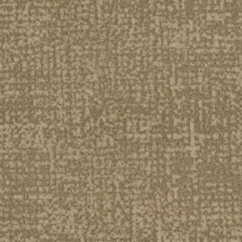 Colour t546012