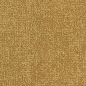 Colour t546013