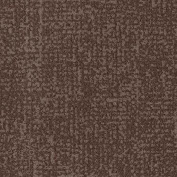 Colour t546015