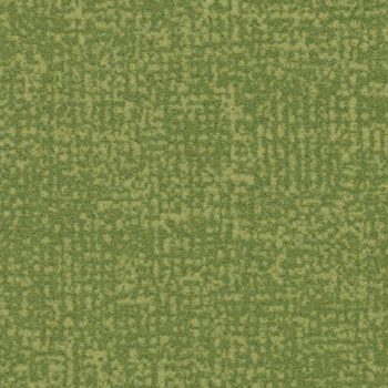 Colour t546019