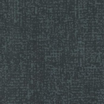 Colour t546024
