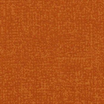 Colour t546025
