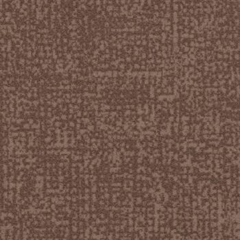Colour t546029