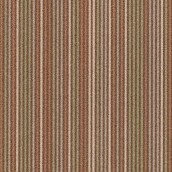 Cityscape Complexity t550010-t553010