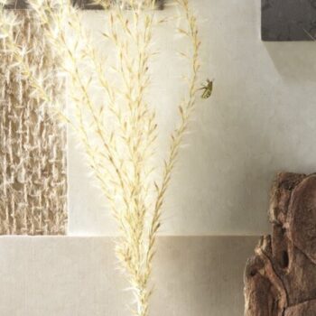 Линолеум Gerflor Mipolam Symbioz