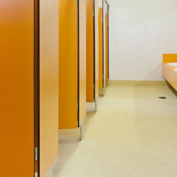 Линолеум Gerflor Tarasafe Uni