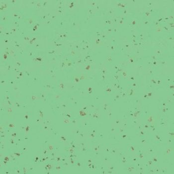 Taralay Premium Compact INDIANA-4526-Lasia