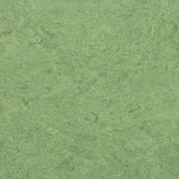 Marmorette 0100 Frog Green