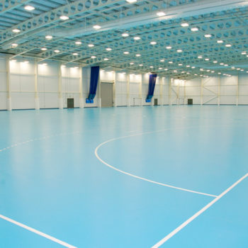 Спортивный линолеум Gerflor Taraflex Evolution