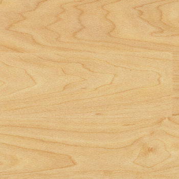 Спортивный линолеум Gerflor Taraflex Performance 6381 Wood — Maple design