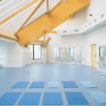 Спортивный линолеум Gerflor Taraflex Surface