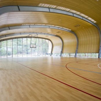 Спортивный линолеум Gerflor Recreation 30