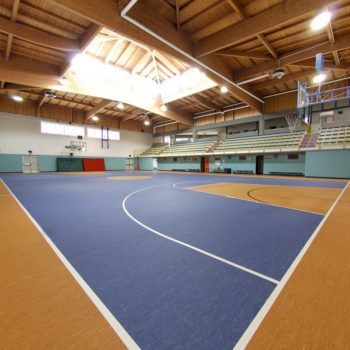 Линолеум Gerflor Mipolam Affinity