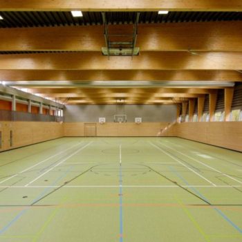 Спортивный линолеум Gerflor Linodur Sport